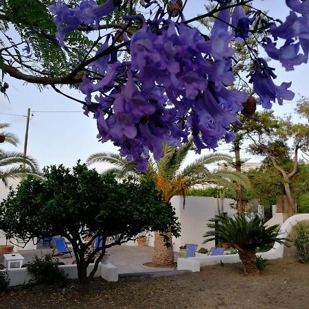 Casa Carlotta Bed & Breakfast Stromboli Ngoại thất bức ảnh