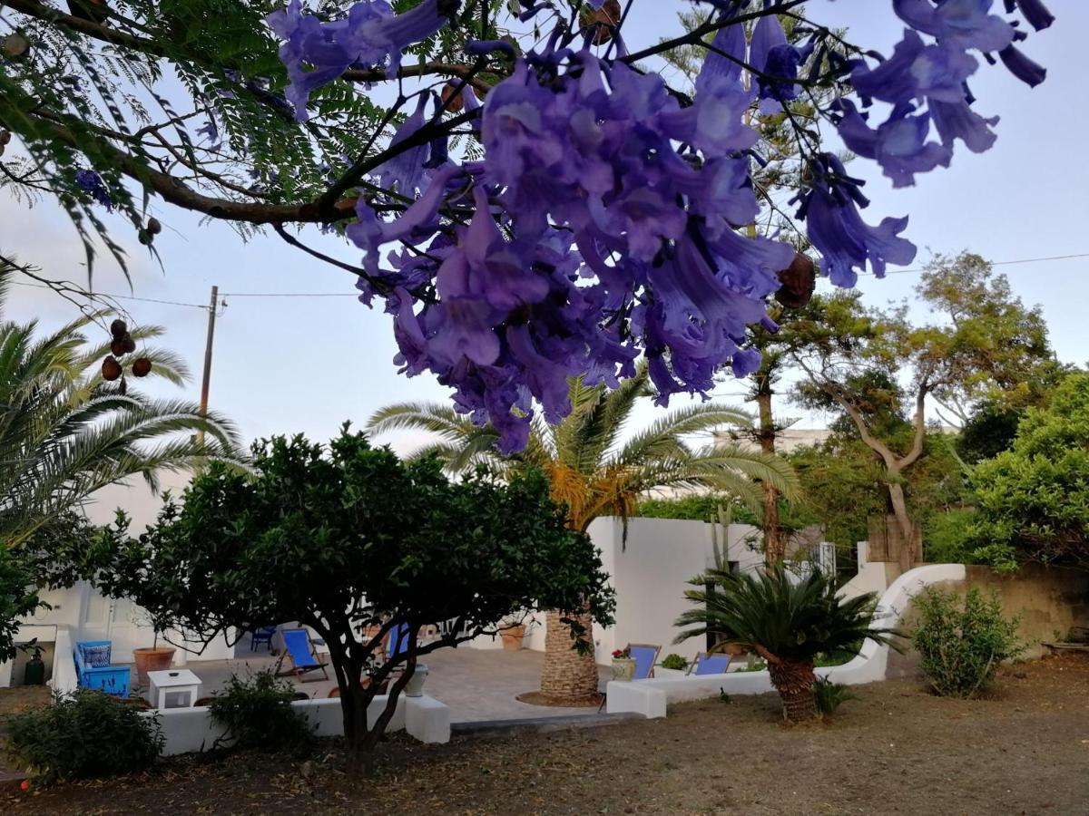 Casa Carlotta Bed & Breakfast Stromboli Ngoại thất bức ảnh